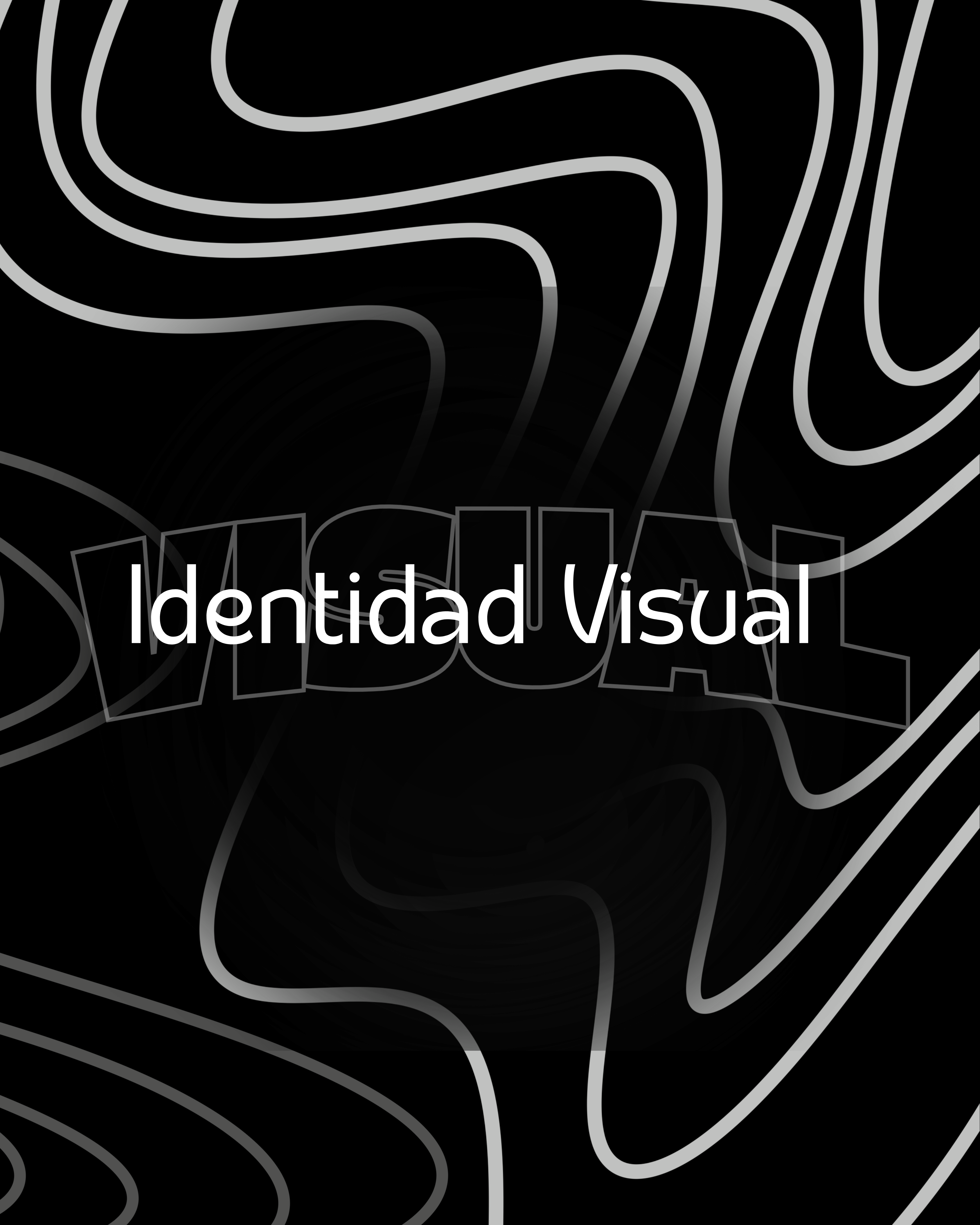 Identidad Visual VELIS